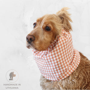 Cocker Spaniel wearing a peach gingham cotton dog snood for feeding and summer walks