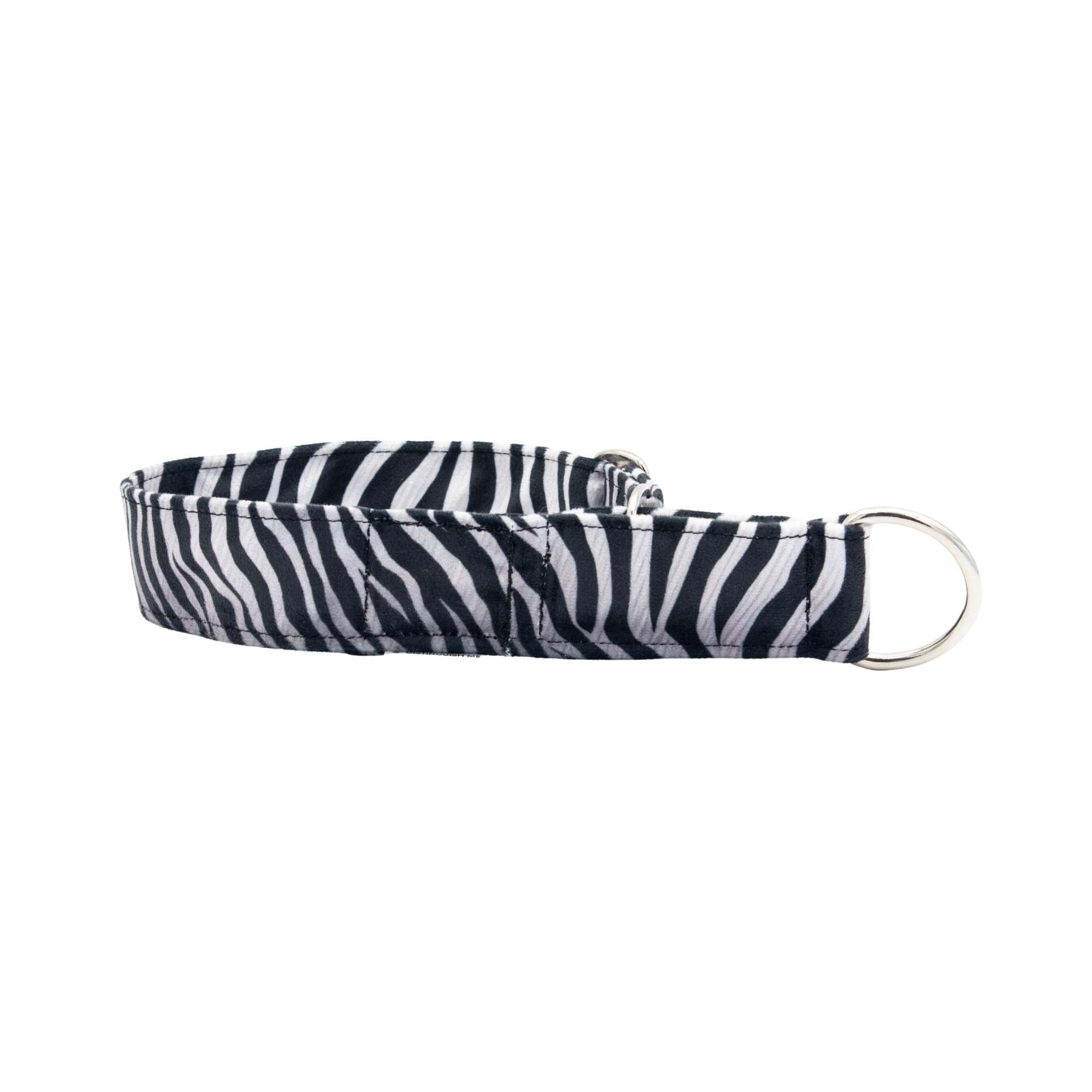 Zebra patterned dog collar on a white background