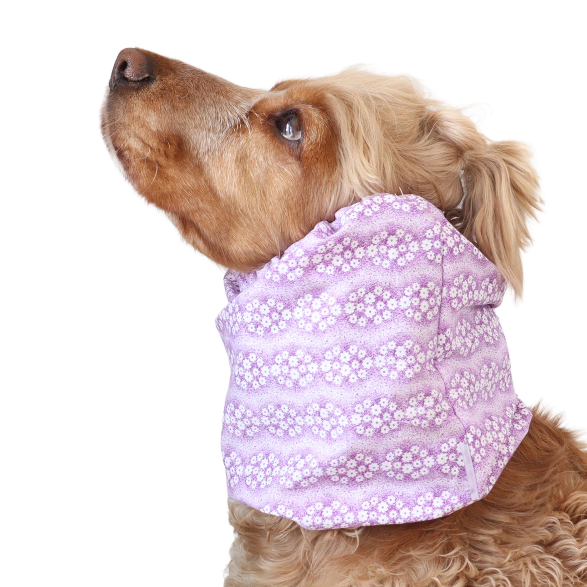 Long eared dog wearing a handmade Lavender Blossoms summer snood by Distinguish Me