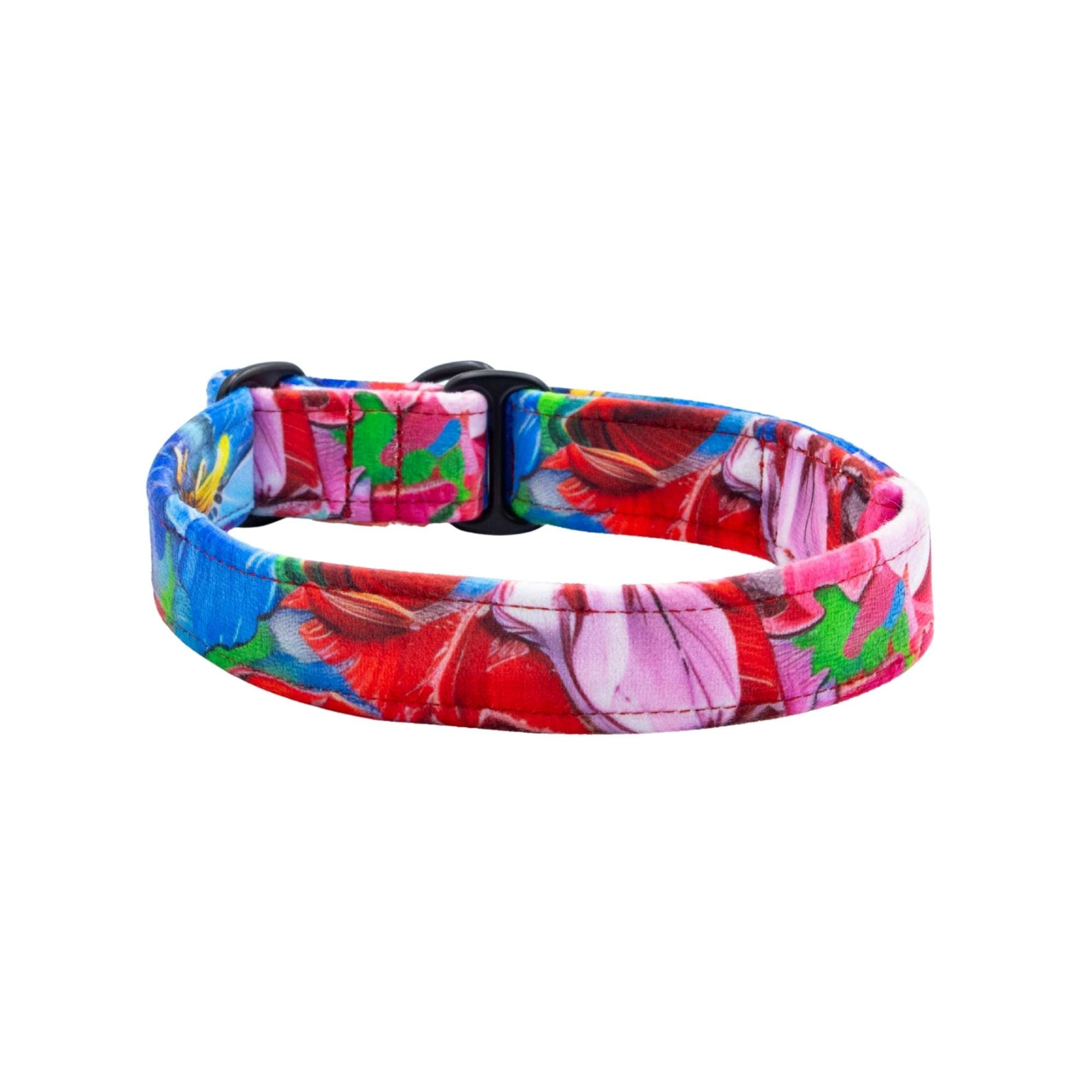 Colorful floral-patterned dog collar on a white background