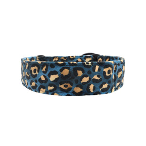 Patogus veliūrinis antkaklis šuniui iš Lietuvos – prekės ženklas Distinguish Me