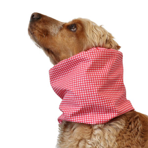Cocker wearing red gingham cotton dog snood for long ears, perfect for summer walks and feeding time