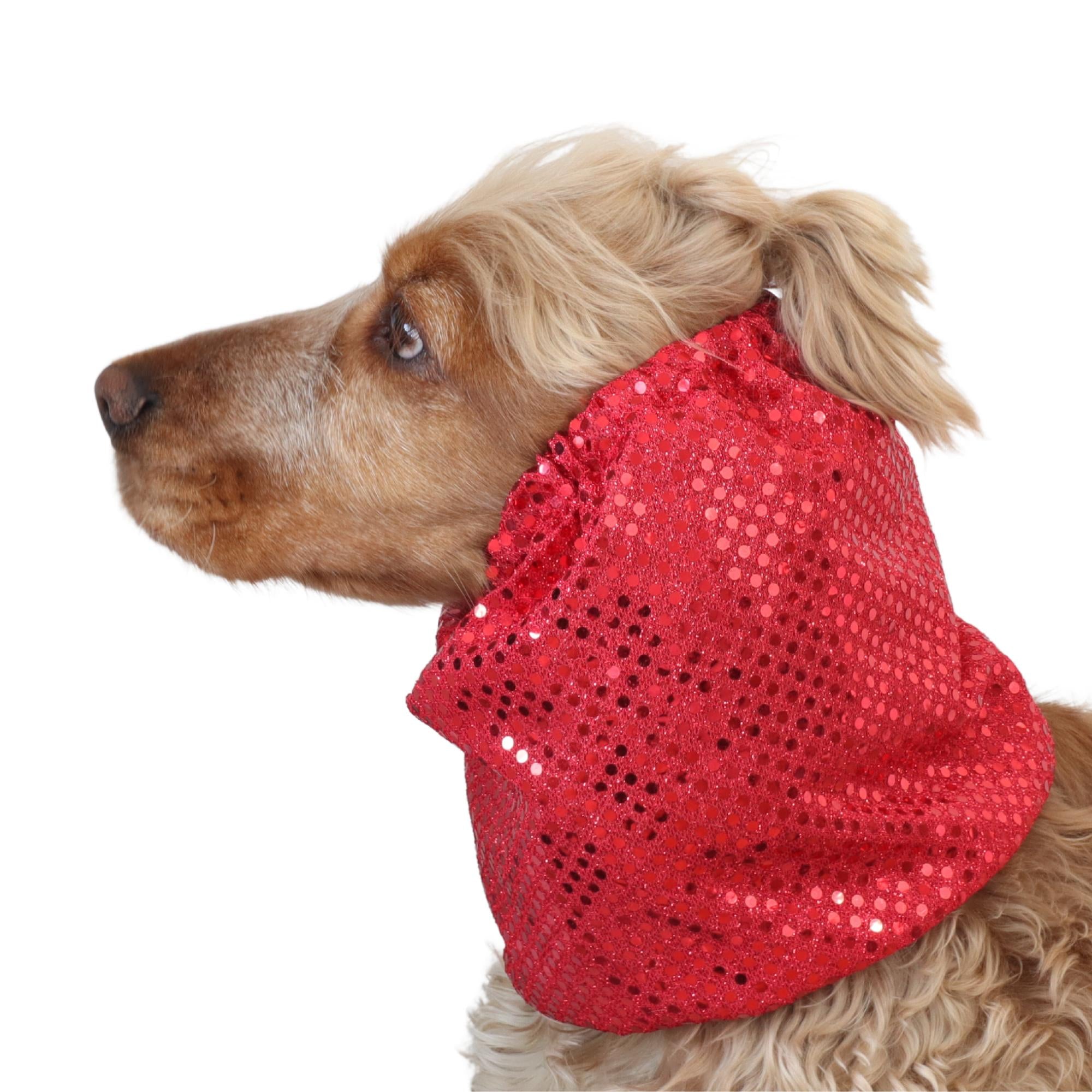 red party dog snood