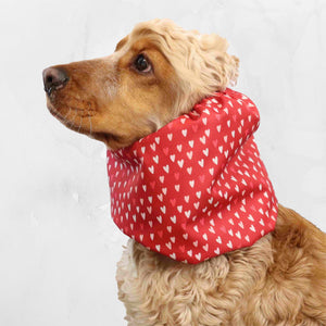 Cocker Spaniel wearing a red waterproof dog snood with white hearts – Distinguish Me