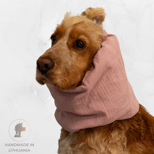 dog with pink snood by Distinguish me