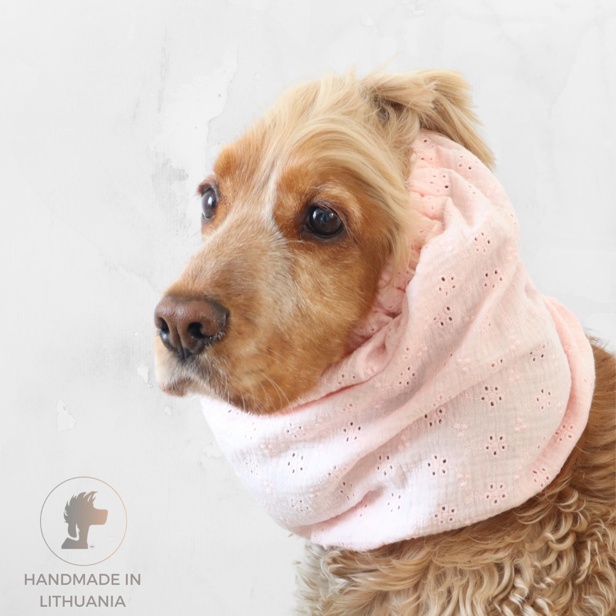 Cocker Spaniel wearing a soft pink muslin dog snood for feeding and summer walks