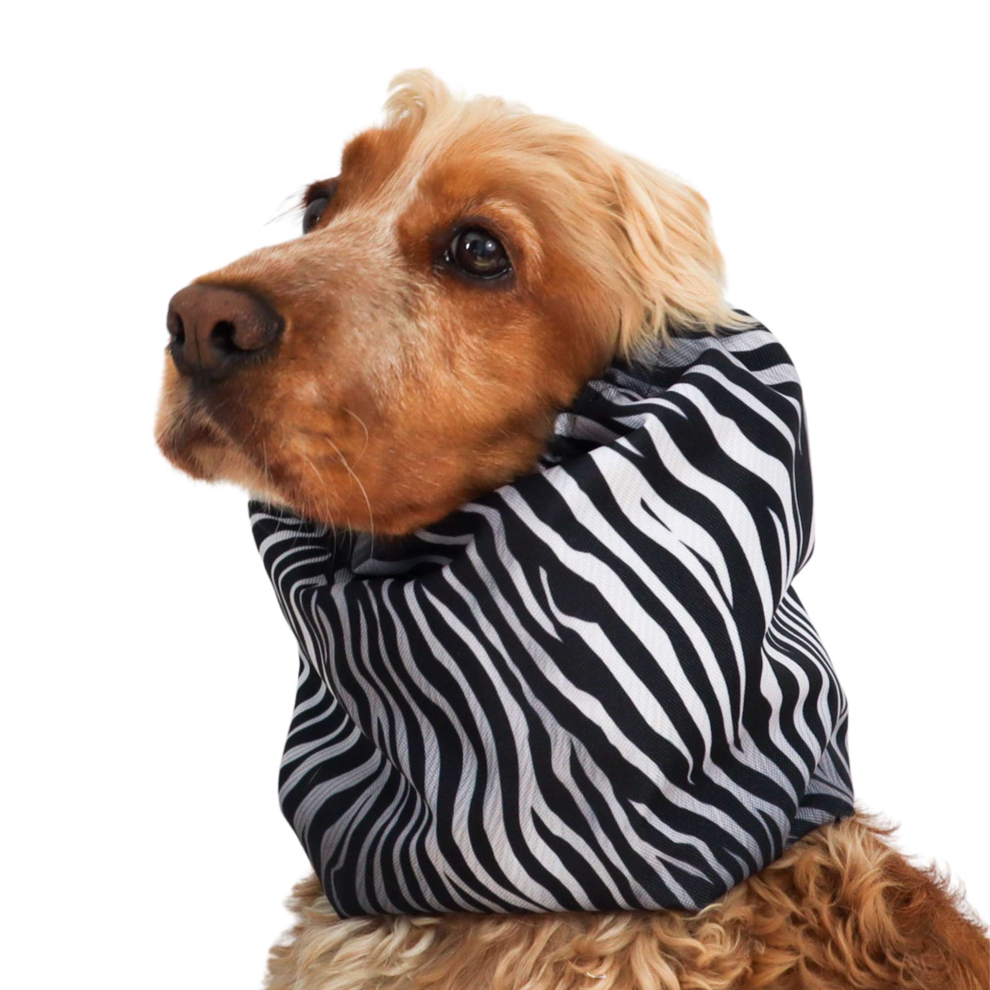 Thick waterproof dog snood with zebra pattern – ear protector for Afghan Hound, English Pointer, large breed dogs