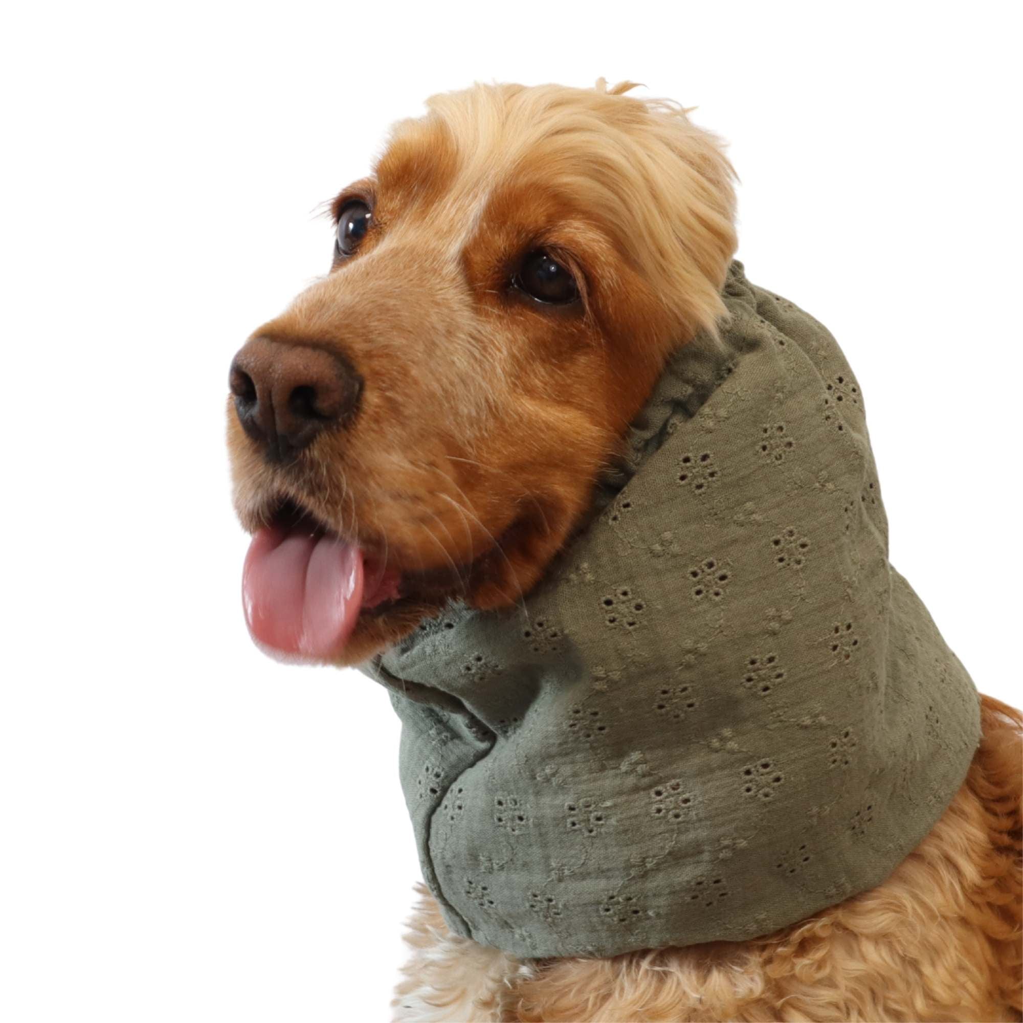 Cocker wearing sage green dog snood with floral embroidery – Sage Bloom by Distinguish Me