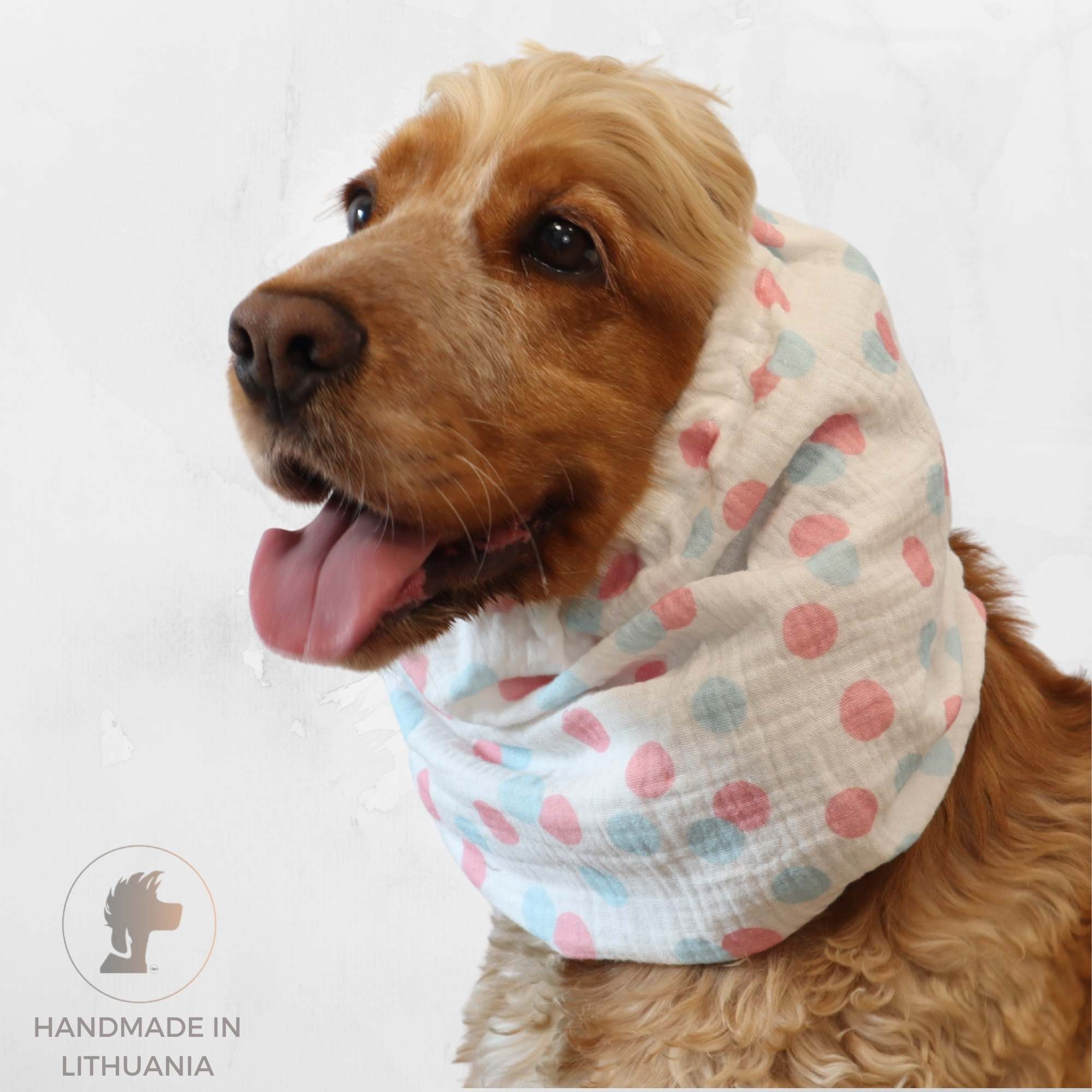 Cocker spaniel wearing pastel polka dot dog snood made from cotton muslin – Pastel Party design by Distinguish Me