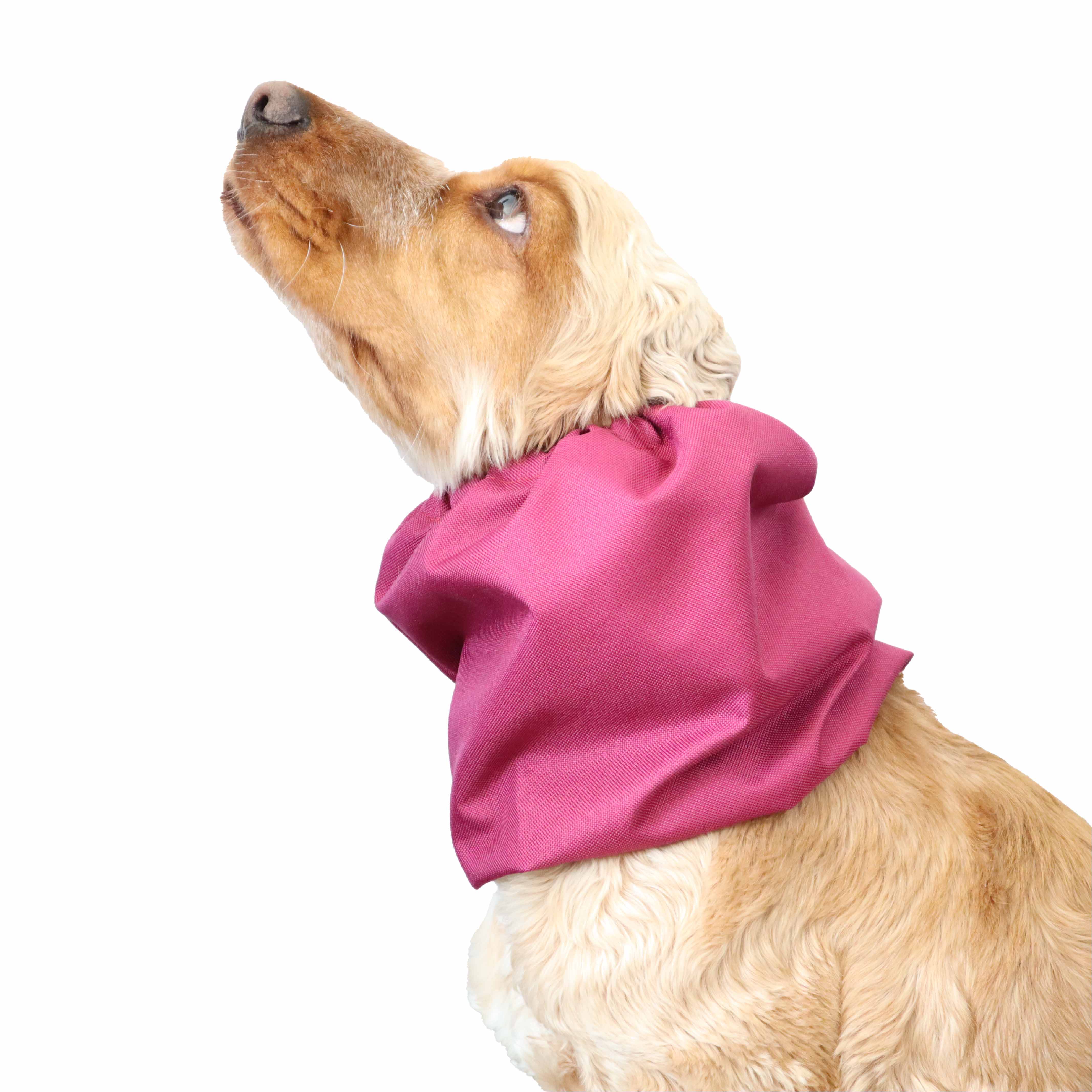 waterproof dog snood distinguish me