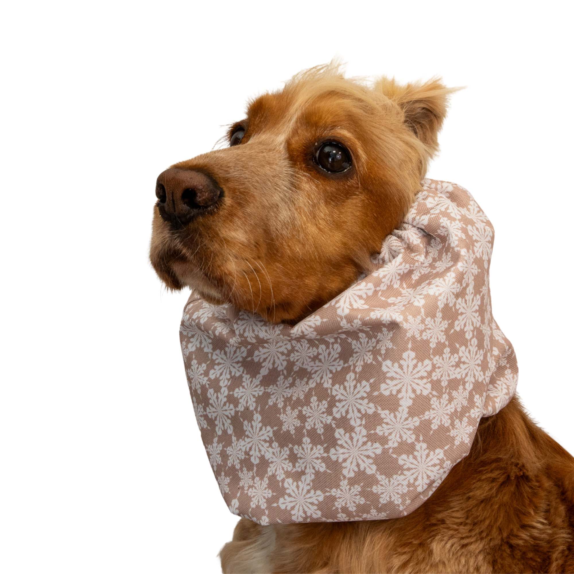 snowflake-dog-snood-waterproof