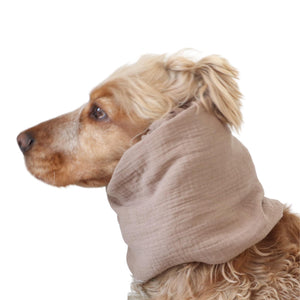 Neutral muslin dog snood in latte beige for Spaniel, Cavalier, Basset Hound and Poodle
