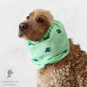 soft dog ear muff with cactus print  Distinguish me