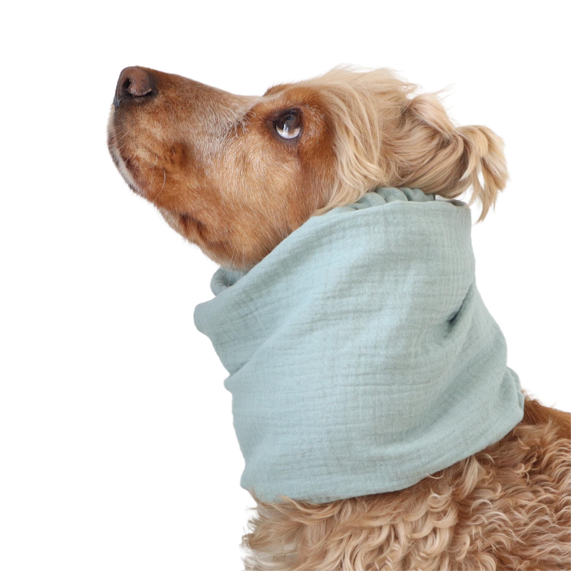 Pastel mint muslin dog snood for Spaniel, Cavalier, Basset Hound and Poodle