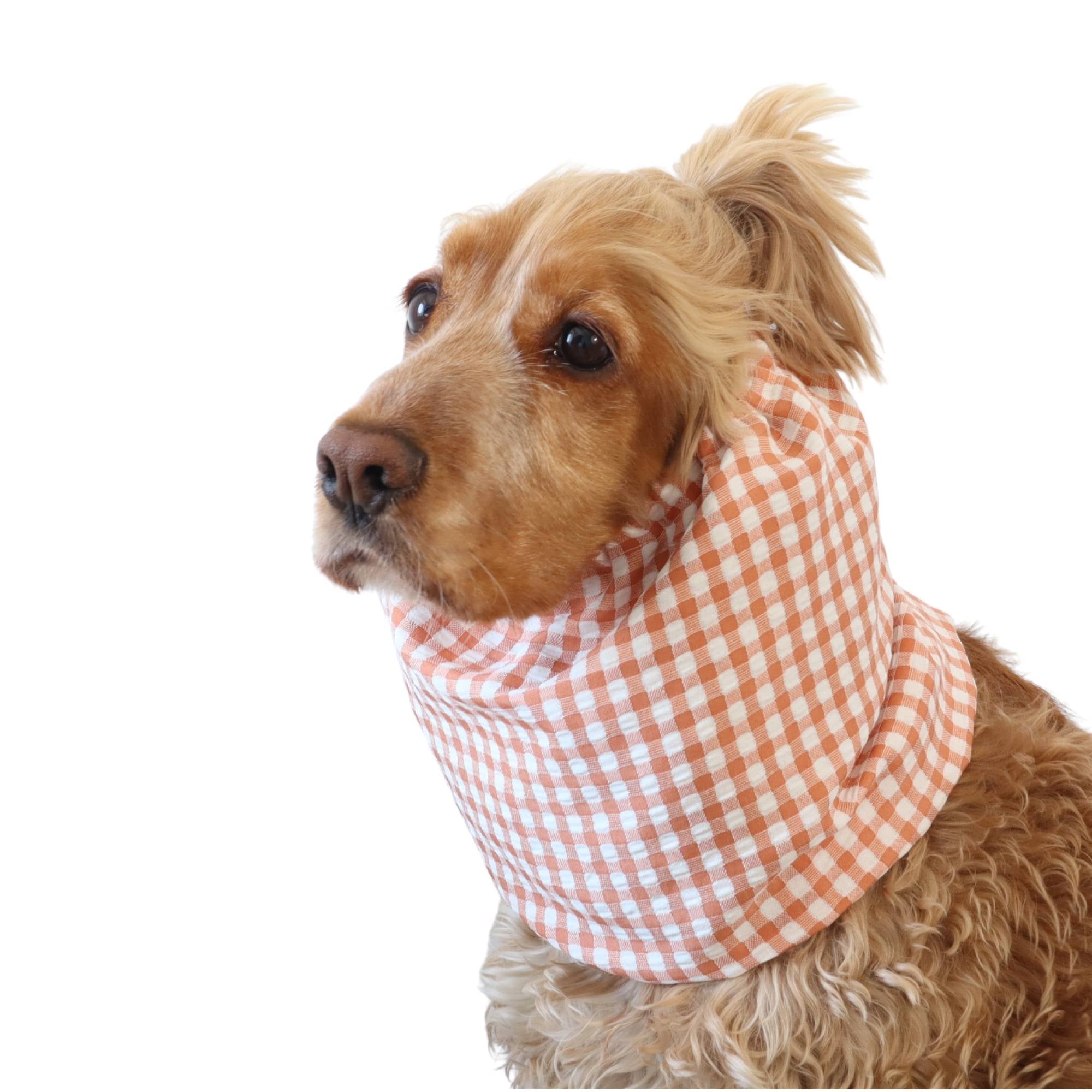 Lightweight cotton feeding snood in peach gingham pattern worn by a Cocker Spaniel
