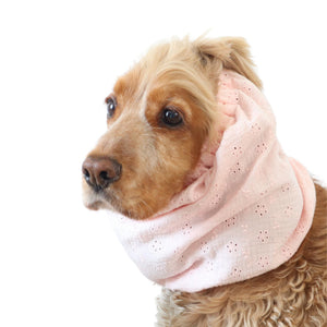 Lightweight feeding snood in Rose Mist color worn by a Cocker Spaniel