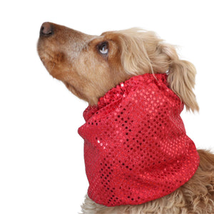 spaniel with snood sparkle red distinguish-me