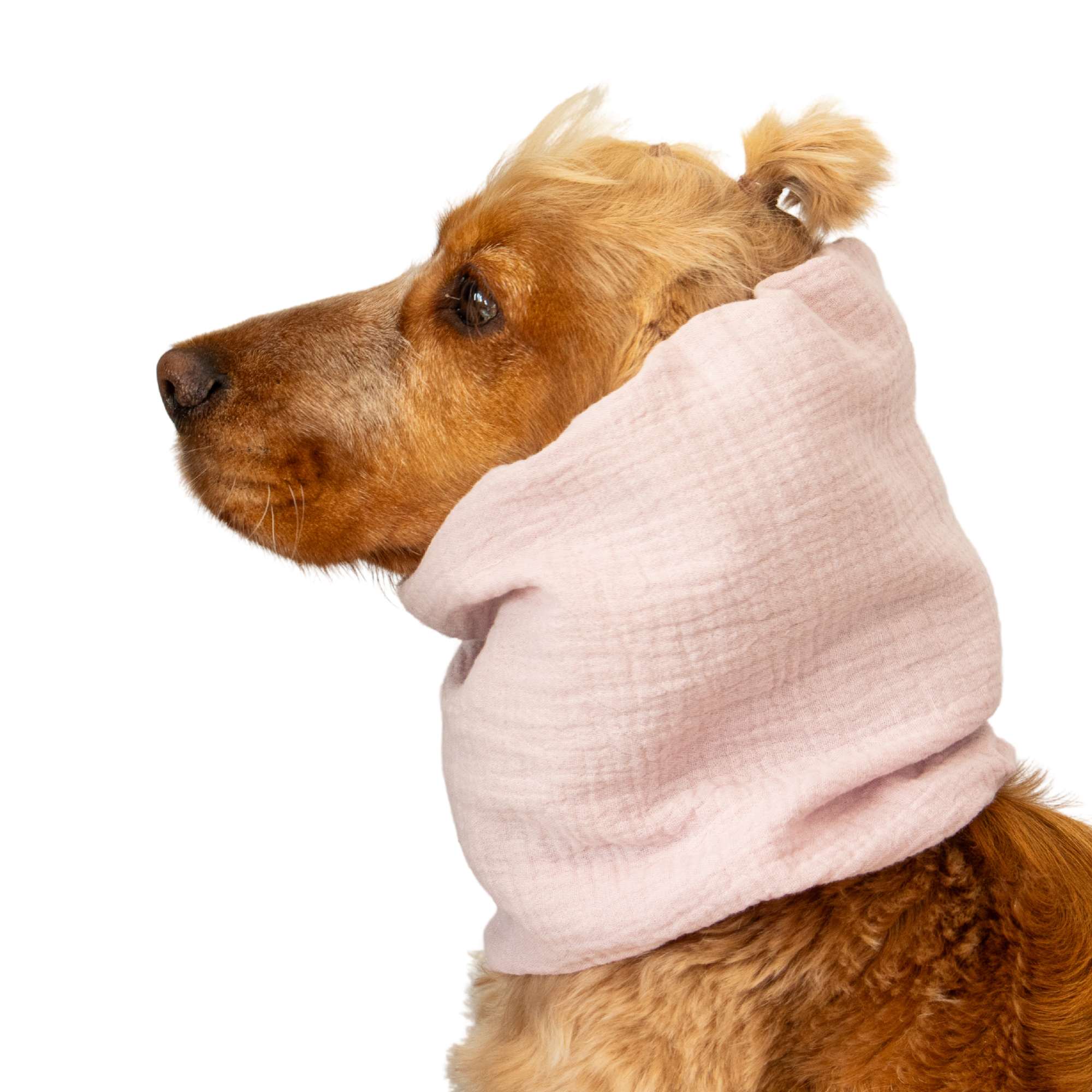 Cotton (Muslin) Dog Snood | Powder Pink