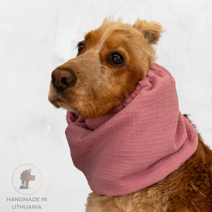 Dog with summer snood Dusty Pink by Distinguish me