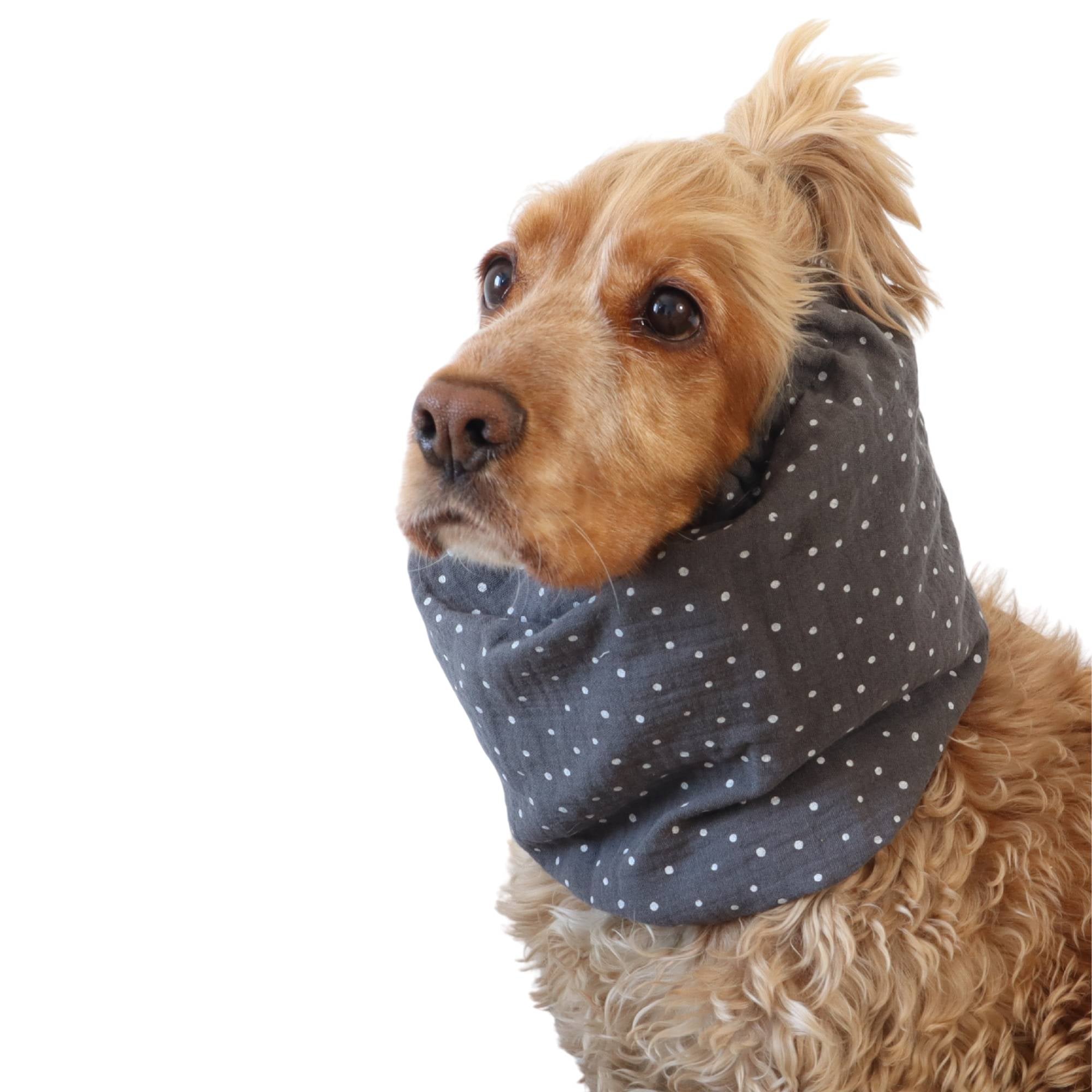 Lightweight feeding snood in grey dots muslin worn by a Cocker Spaniel