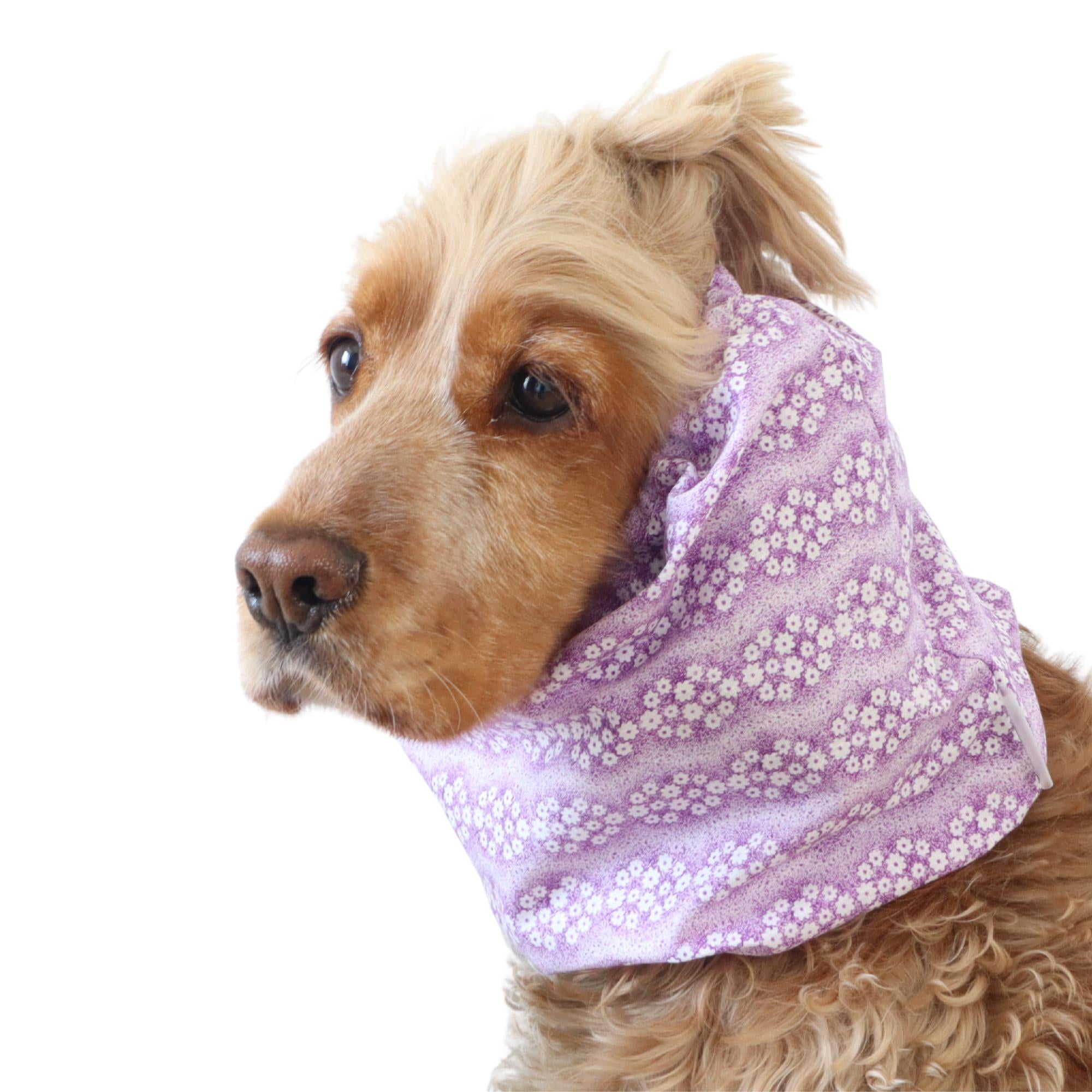 Lightweight cotton feeding snood in lavender blossoms print worn by a Cocker Spaniel