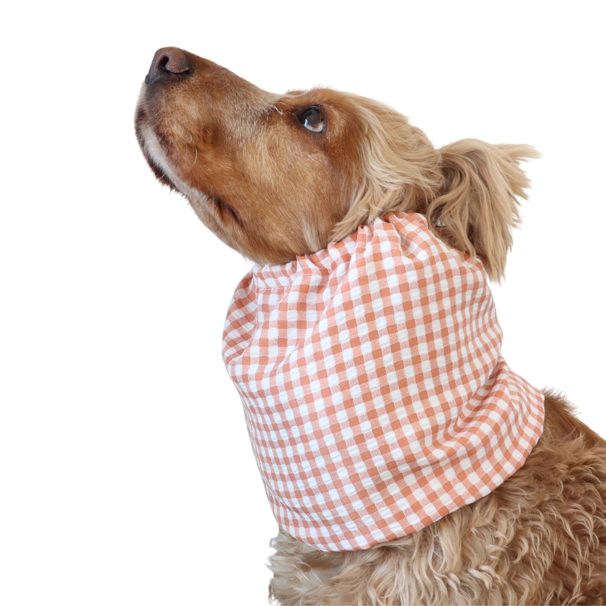 Long eared dog wearing a handmade Peach Gingham summer snood by Distinguish Me