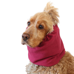 Lightweight feeding snood in raspberry pink muslin worn by a Cocker Spaniel