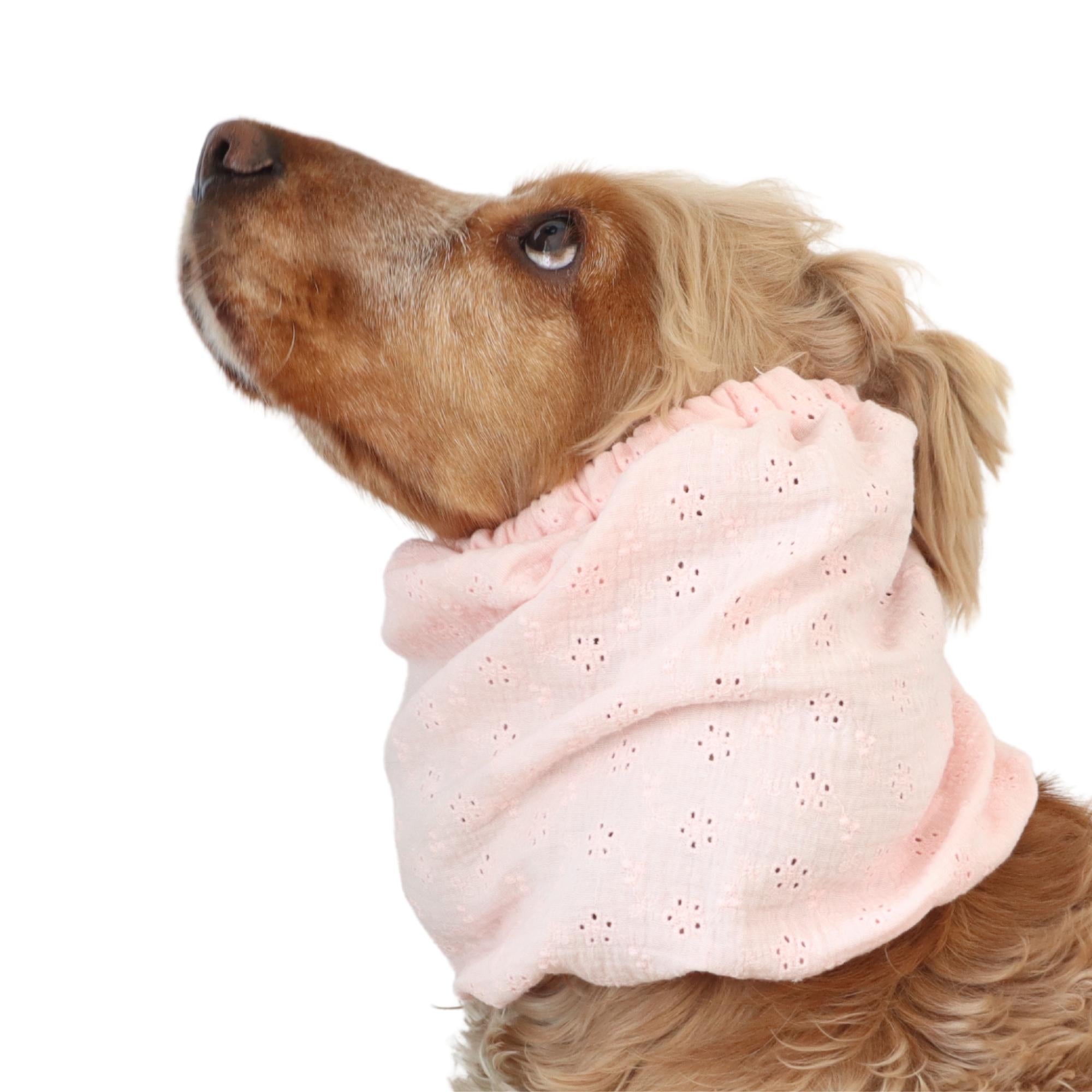 Soft pink muslin dog snood for Spaniel, Cavalier, Basset Hound and Poodle