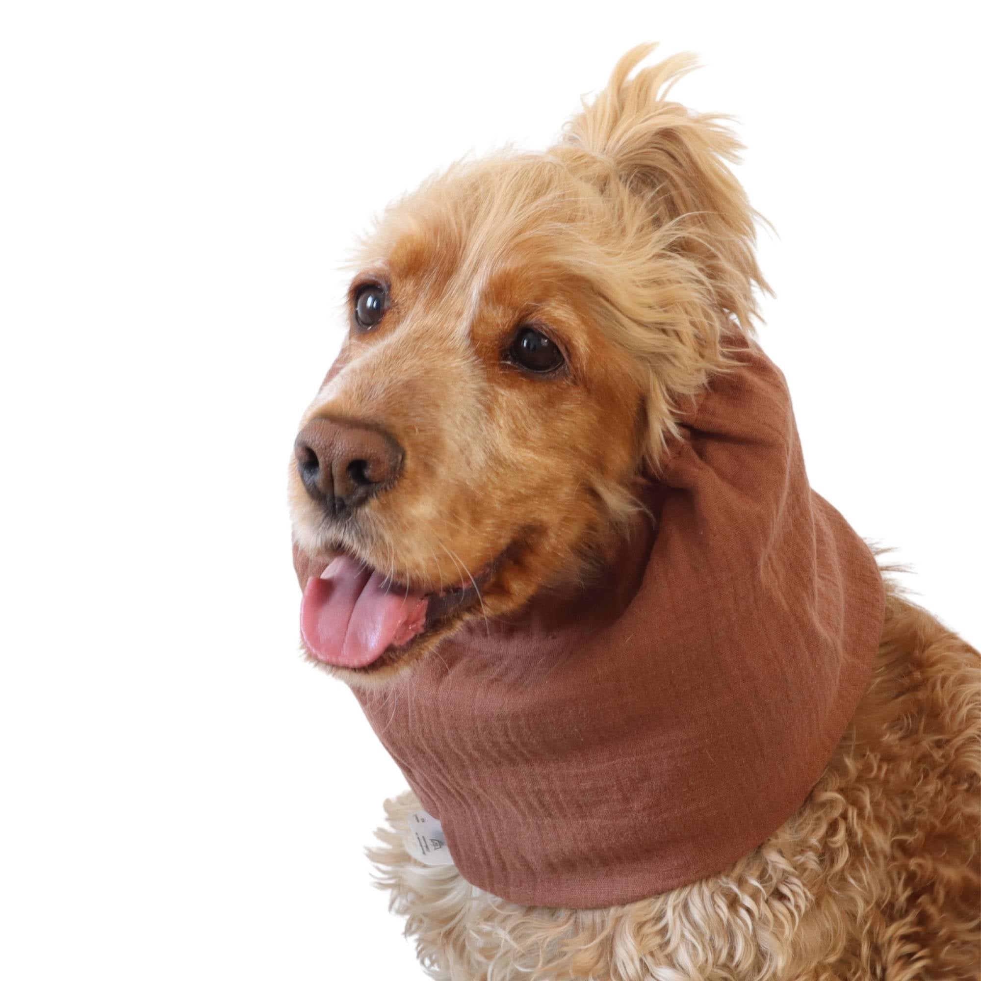 Lightweight feeding snood in toffee muslin worn by a Cocker Spaniel