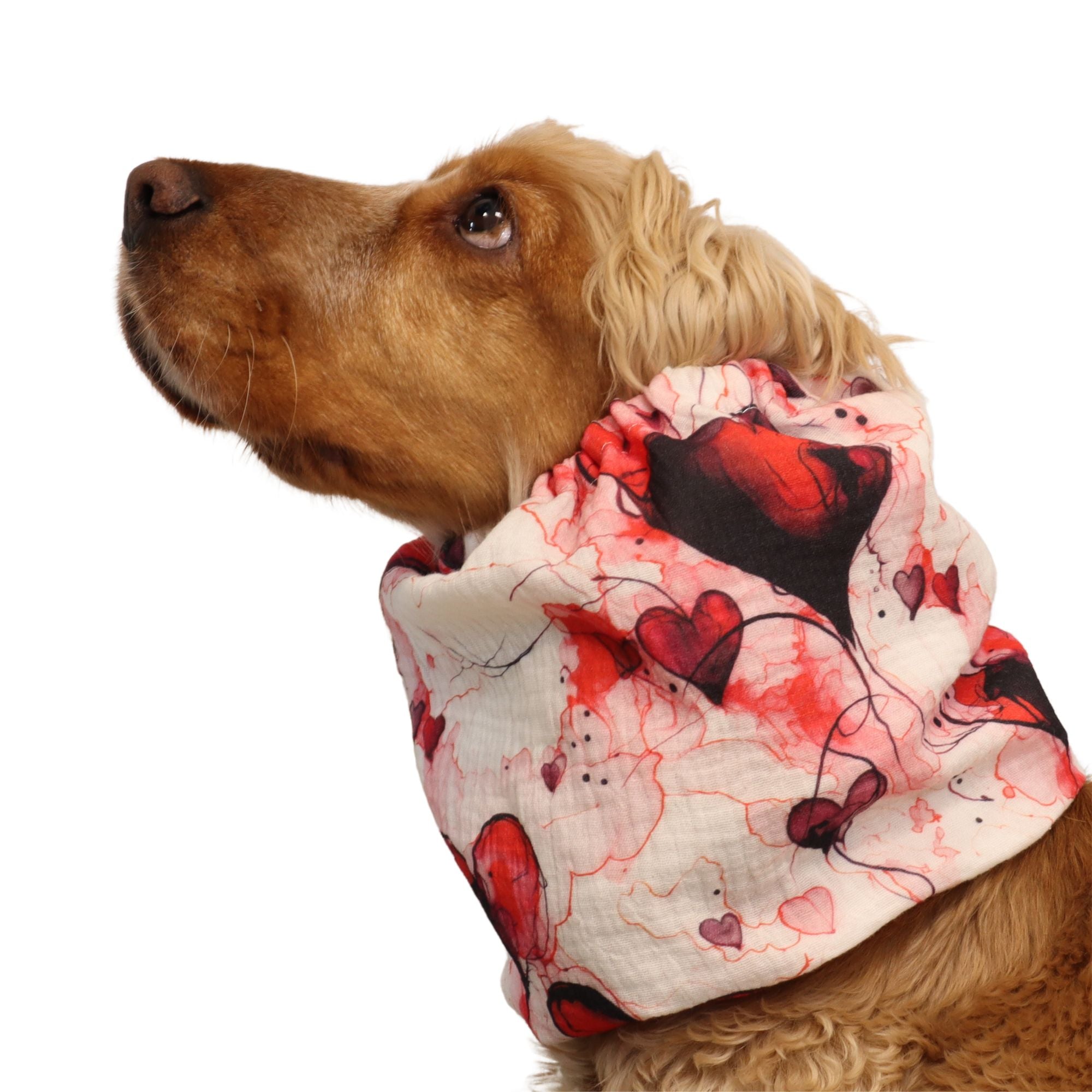 Cotton (Muslin) Dog Snood | My Valentine