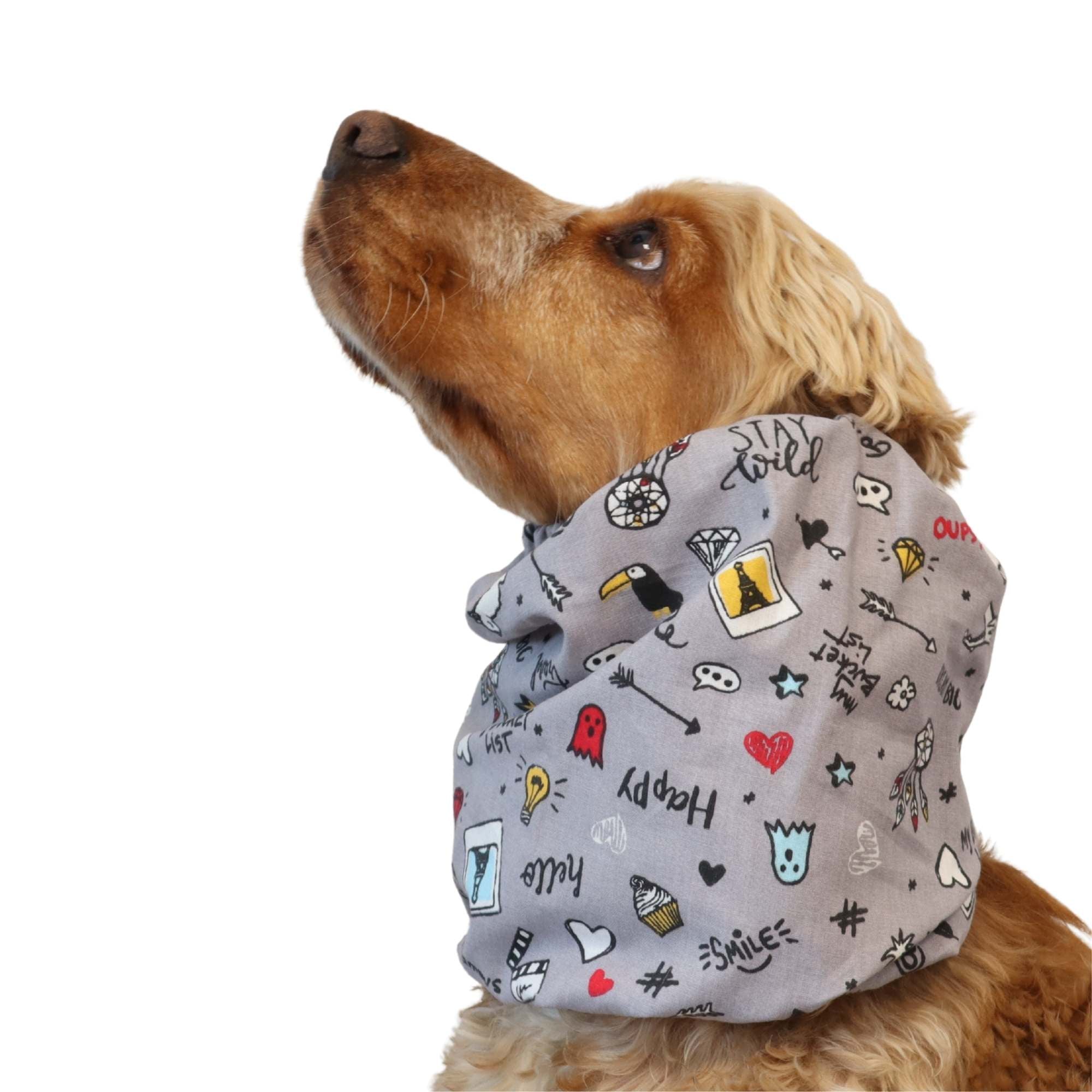 Spaniel wearing cotton summer dog snood with colorful doodles, perfect for protecting long ears in warm weather