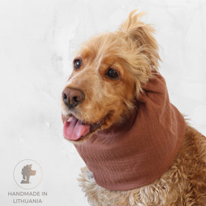 Cocker Spaniel wearing a toffee muslin dog snood for feeding and summer walks