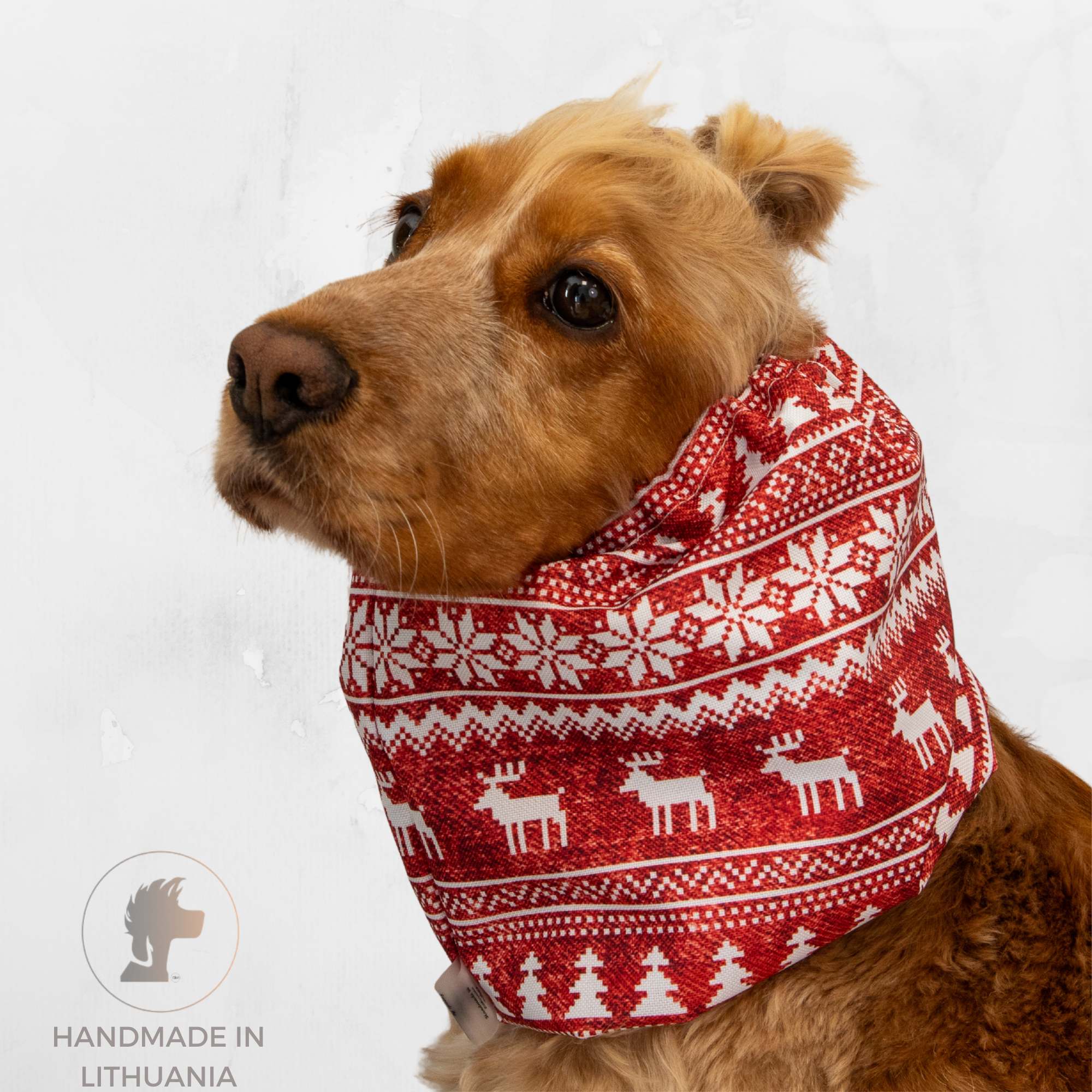 Christmas dog snood