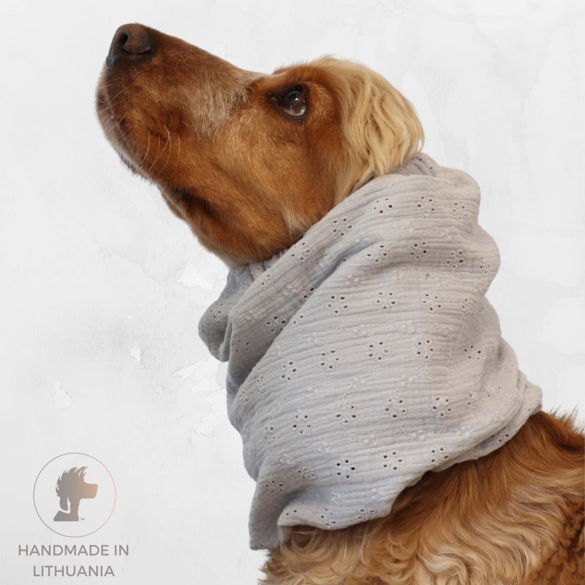 Cotton (Muslin) Dog Snood | Sunday Lace