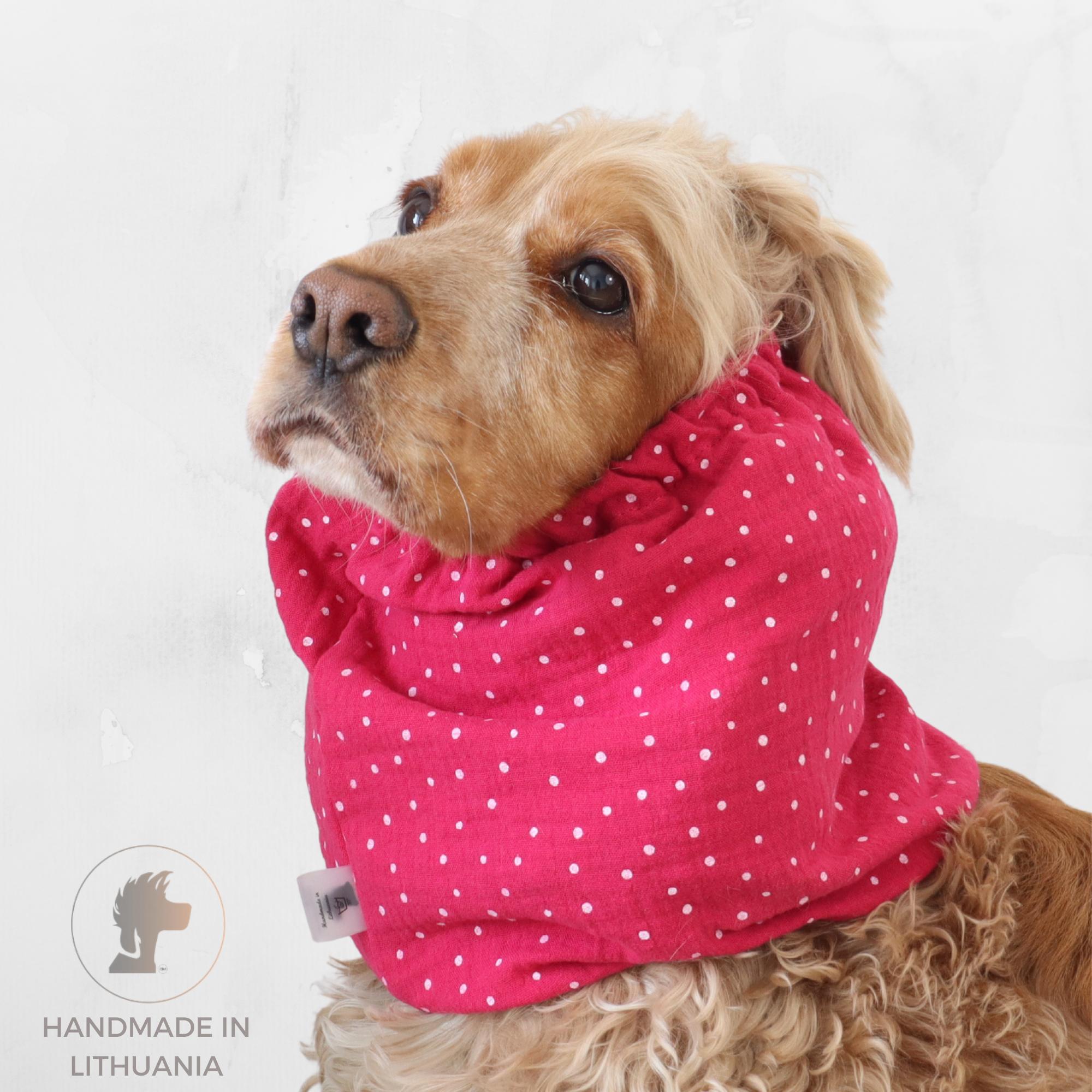 Cocker Spaniel wearing a bright pink cotton dog snood with tiny white dots for feeding and summer walks