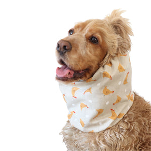 Summer cotton dog snood with chicken pattern worn by a Cocker Spaniel for mealtime and ear protection