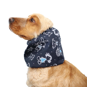 dog snood distinguish me