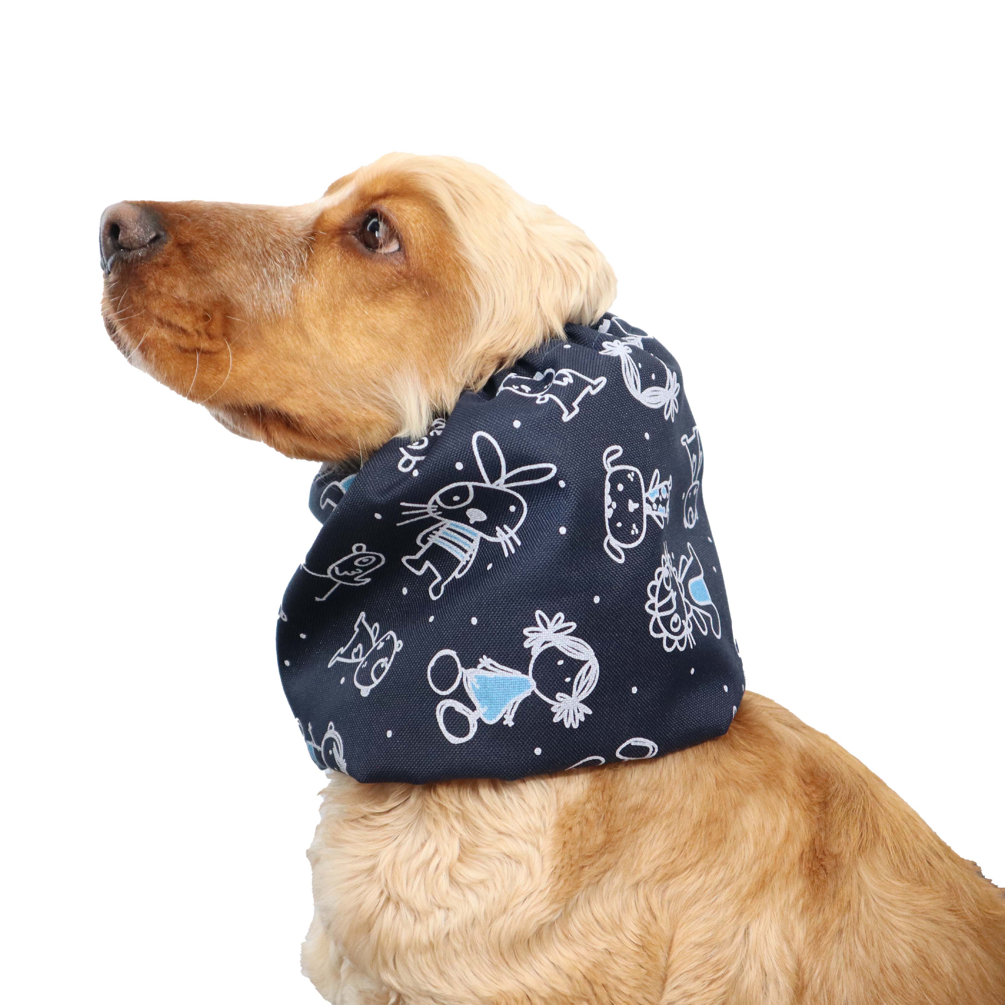 dog snood distinguish me