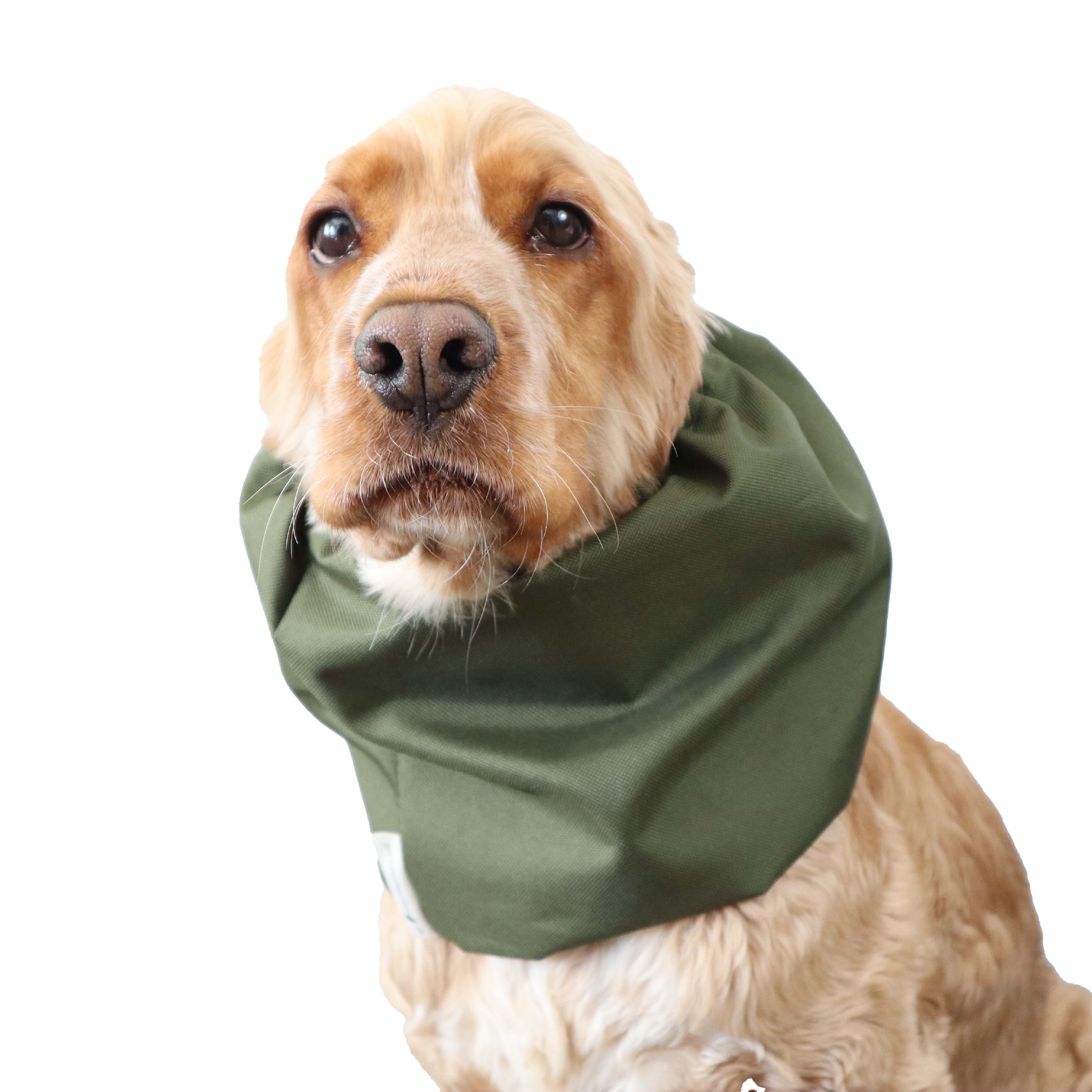 Best dog snood olive green by Distinguish Me