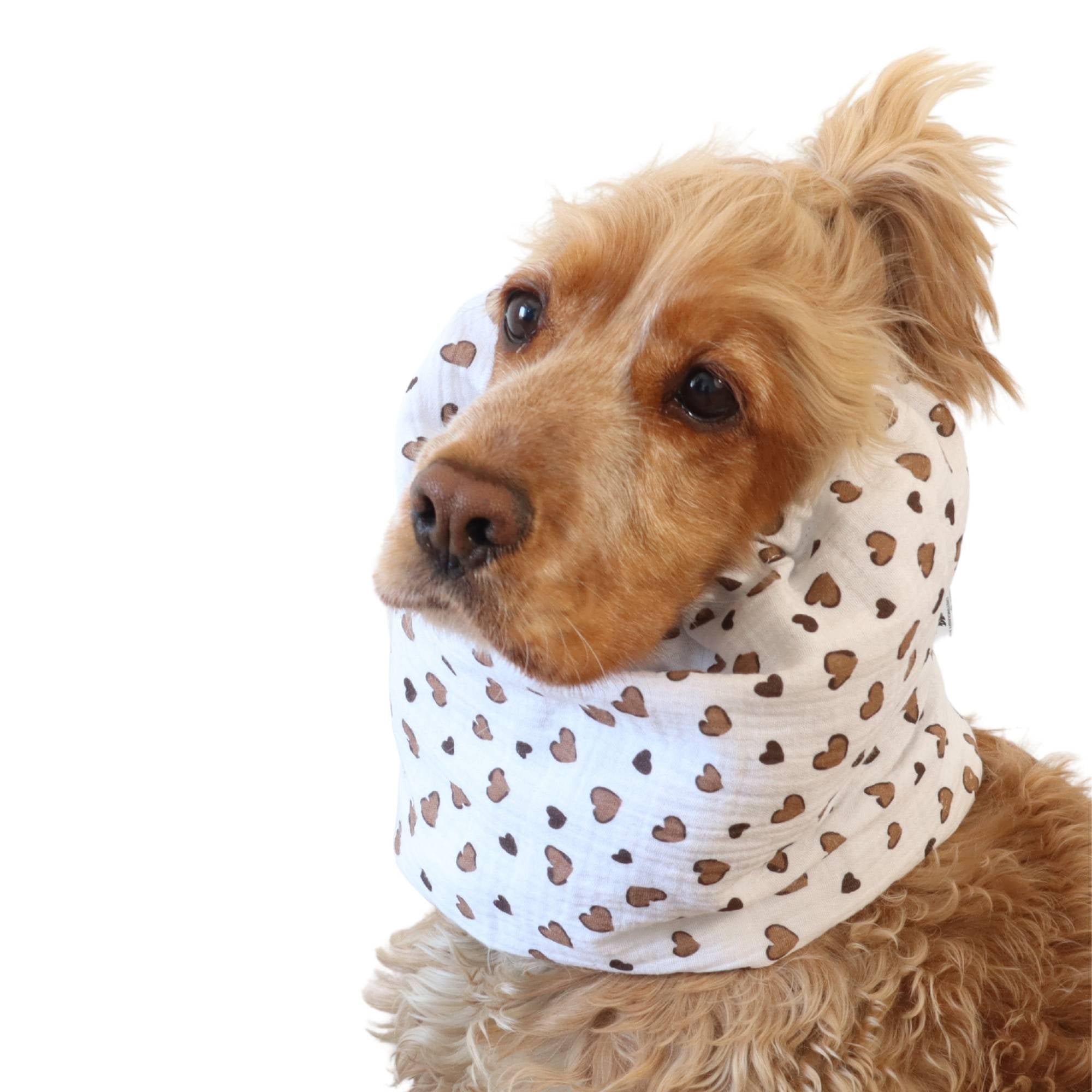 Lightweight feeding snood with latte hearts pattern worn by a Cocker Spaniel