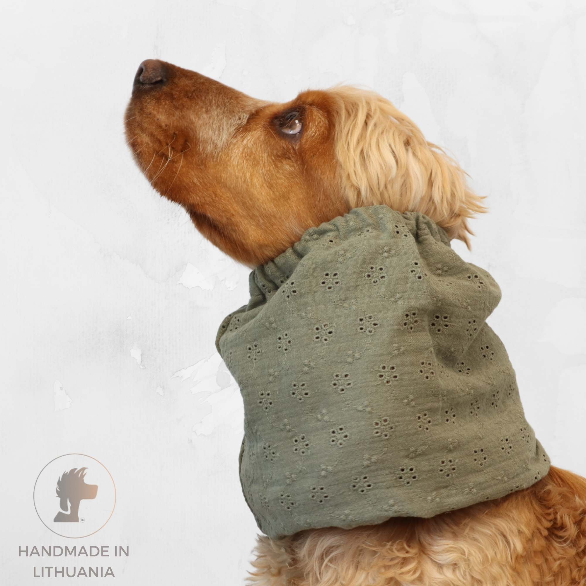 Cocker spaniel wearing sage green dog snood with floral embroidery – Sage Bloom by Distinguish Me