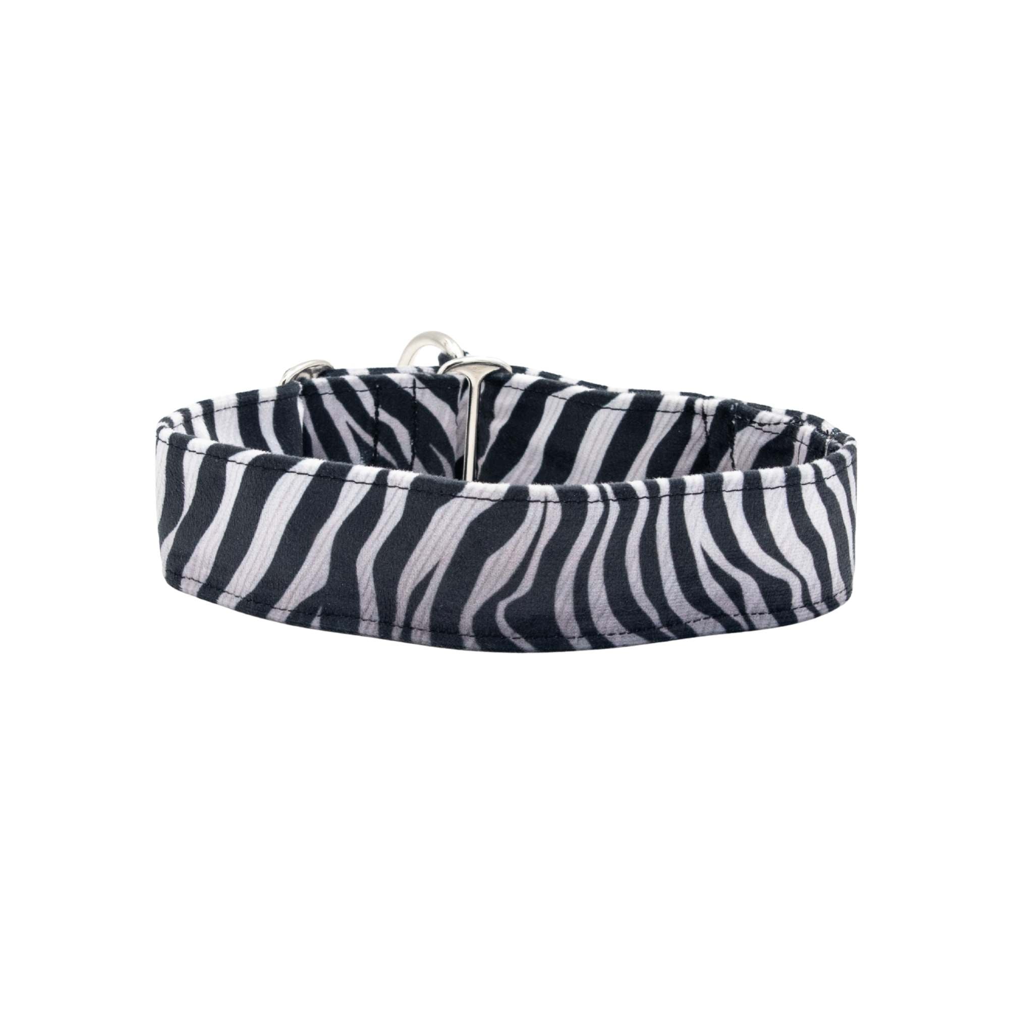 Black and white striped dog collar on a white background