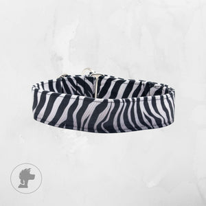 Zebra velour dog collar in black and white stripes, handmade luxury pet accessory by Distinguish Me