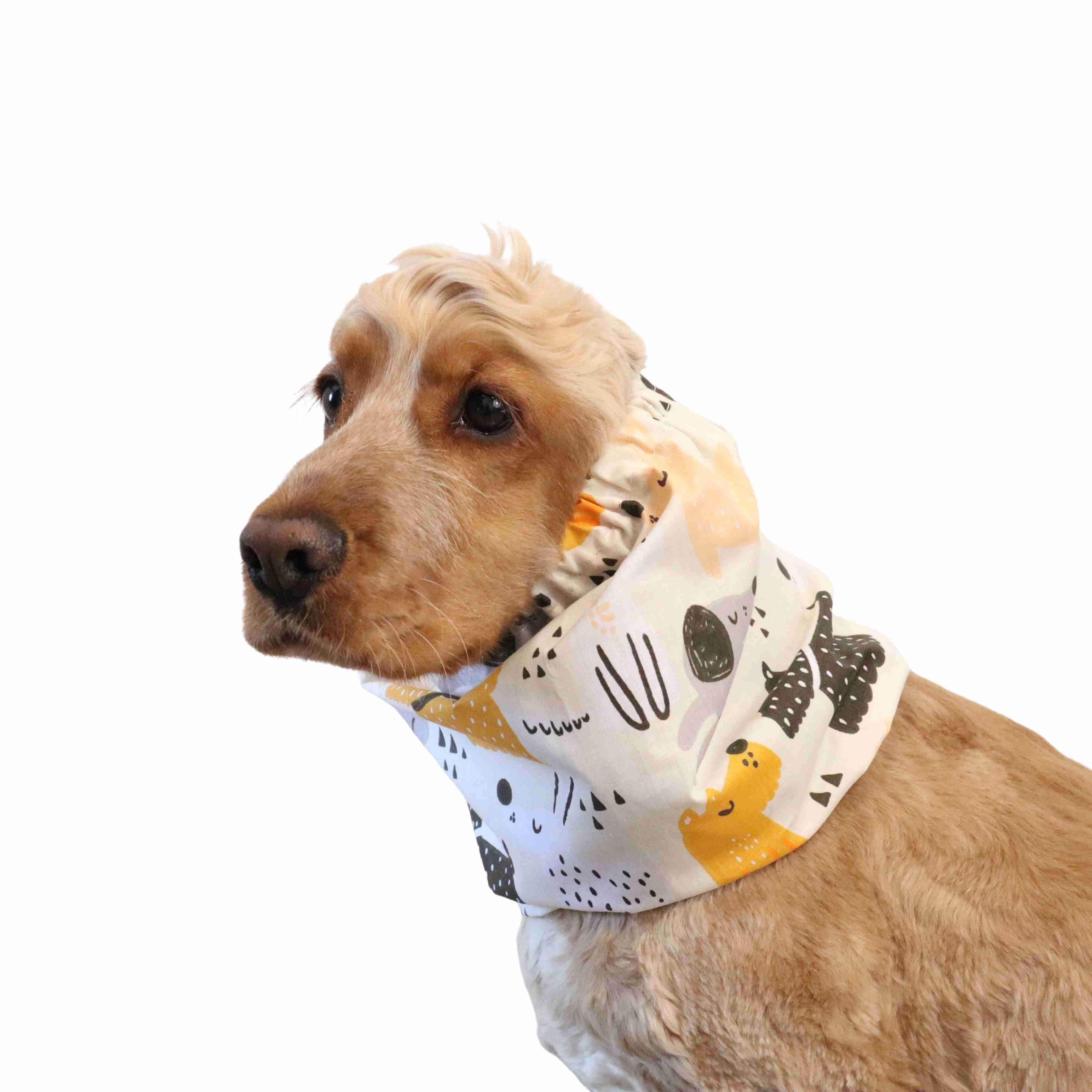 American Cocker Spaniel Snood for Summer Distinguish Me