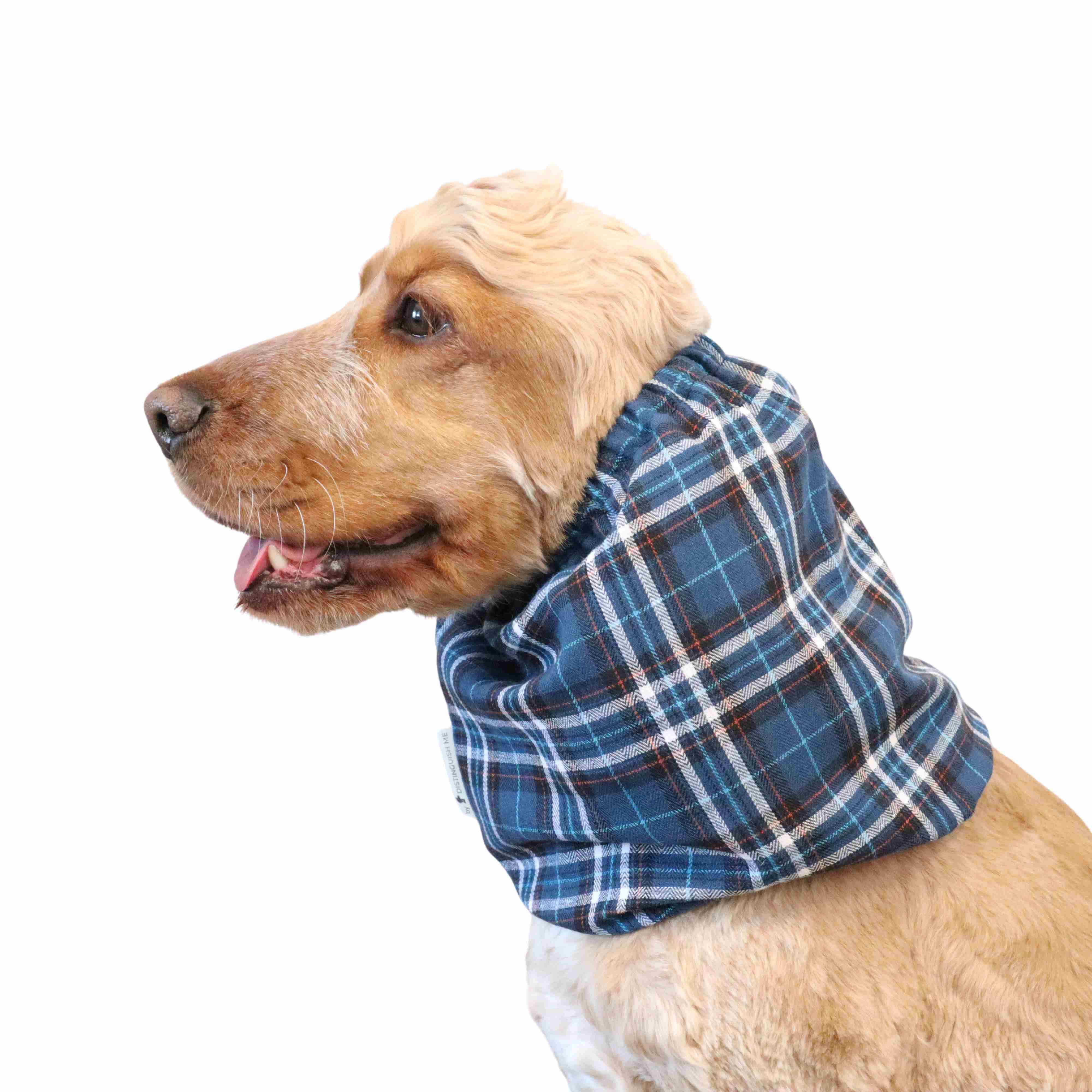 Best Dog Snood For Summer Blue Tartan Distinguish Me