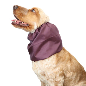 Best Snood for dog Burgundy by Distinguish Me