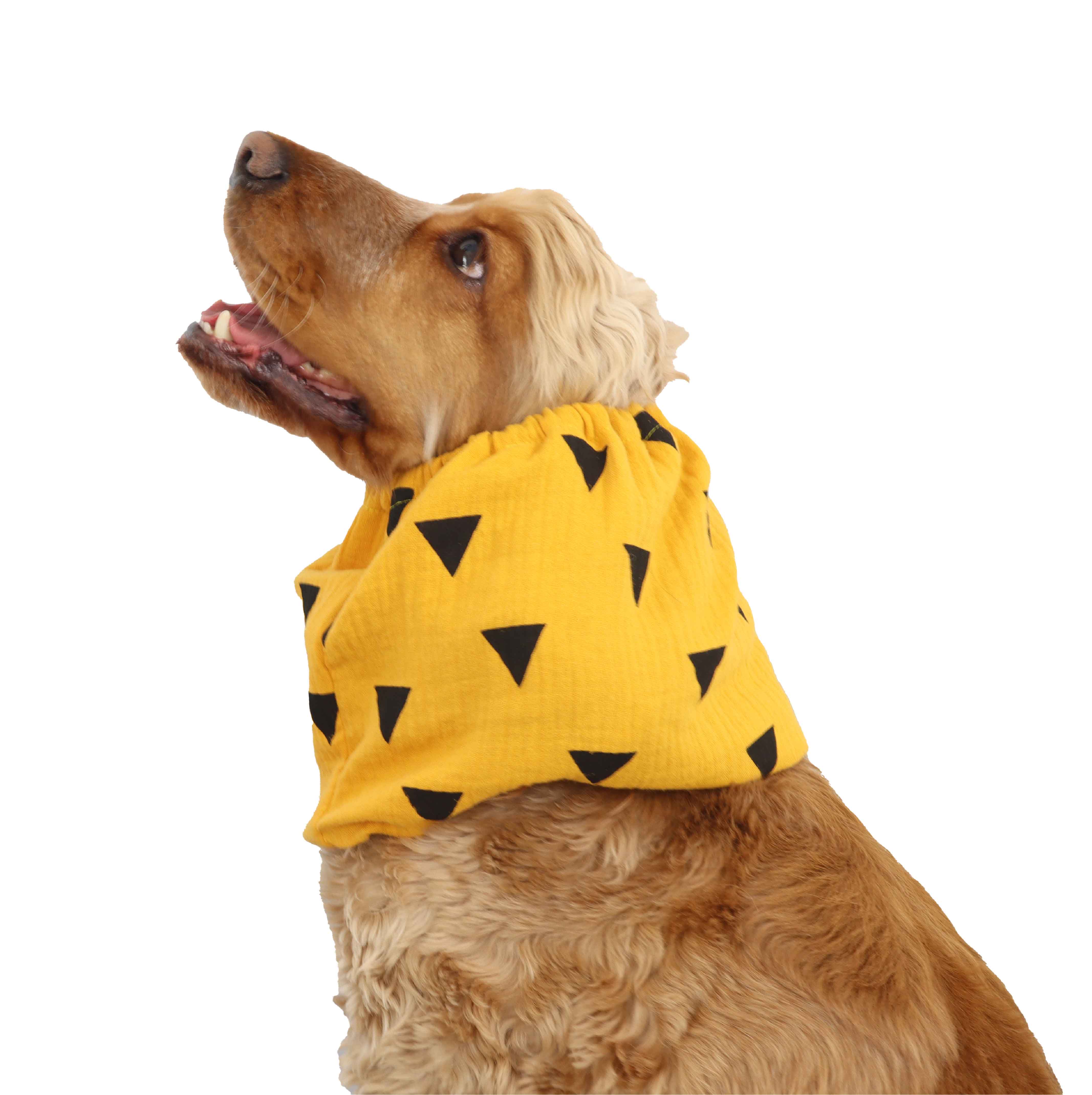 Light Dog Snood For Summer by Distinguish Me