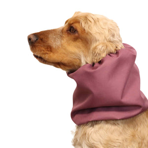 Spaniel Dog Snood Burgundy Distinguish Me