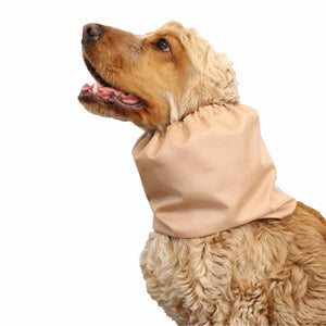 Best dog snood Caramel by Distinguish Me