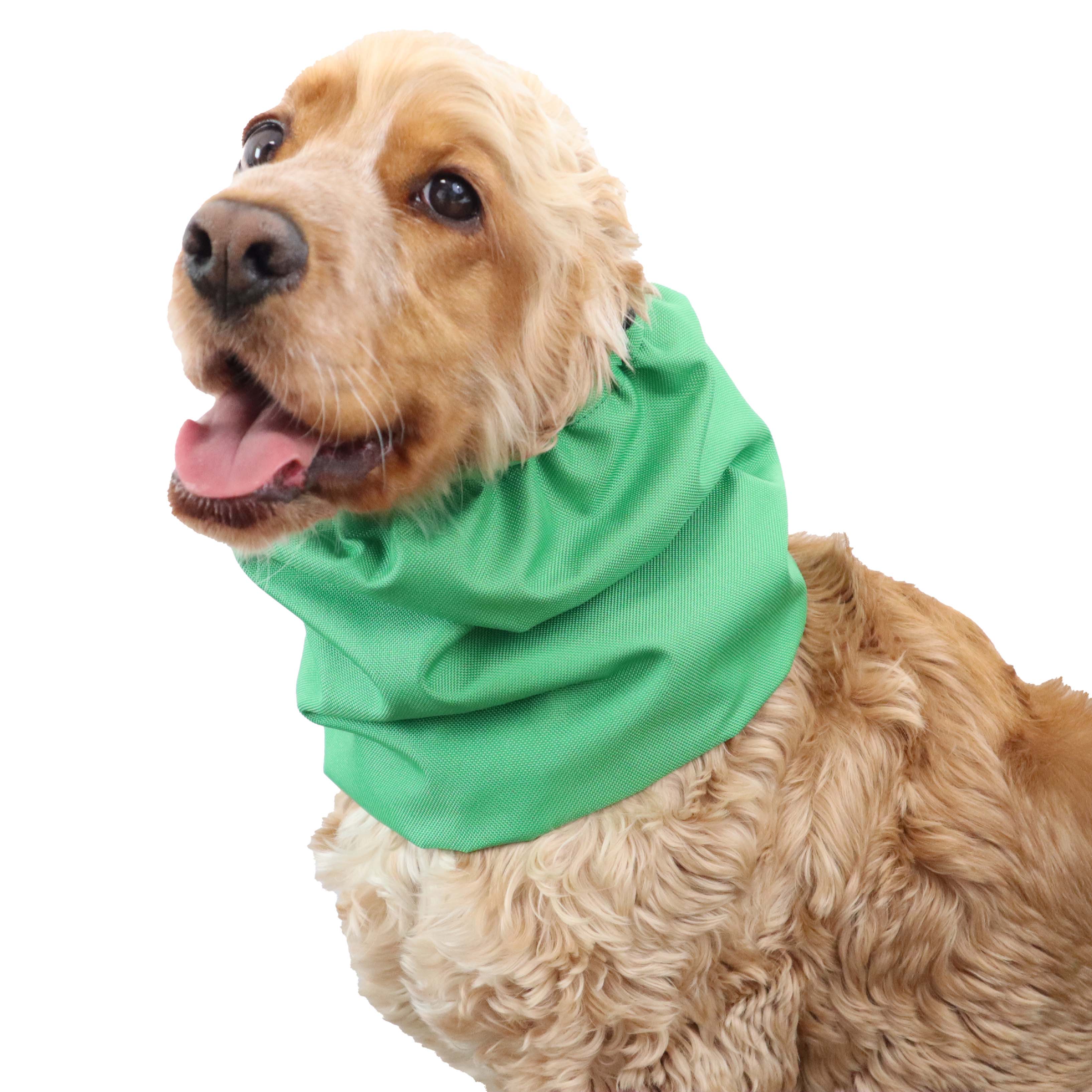 Best snood for dog Green Grass by Distinguish Me